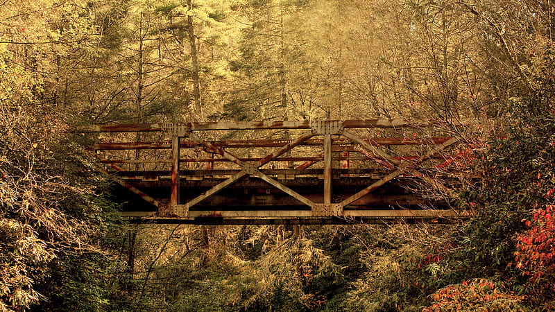 Forest Rail Bridge, forest, iron bridge, bridge, rust, weathered, trees, HD wallpaper