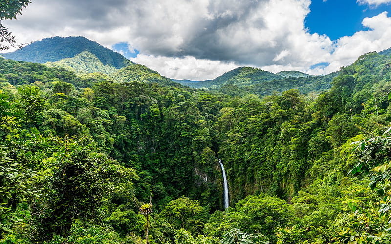 Costa Rica, jungle, waterfall, forest, mountains, HD wallpaper