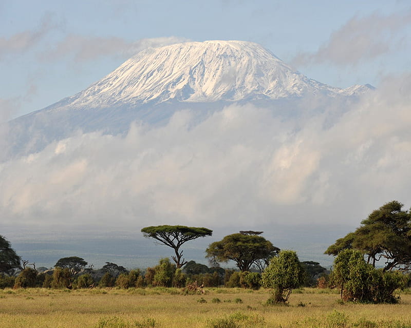 Mount Kilimanjaro, hot, nature, scene, HD wallpaper