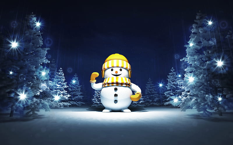 snowman at night winter, christmas eve, xmas backgrounds, new years eve, christmas concepts, happy new year, snowman, xmas decorations, background with snowman, snowmen, HD wallpaper