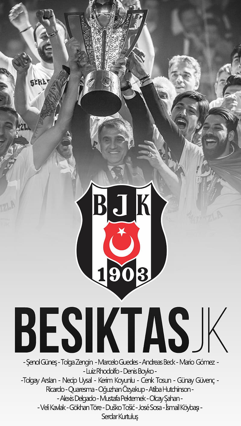 champion Besiktas, besiktas, bjk, karakartal, HD phone wallpaper