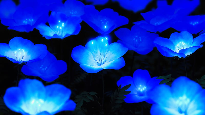 blue glowing flowers, shiny, petals, Flowers, HD wallpaper