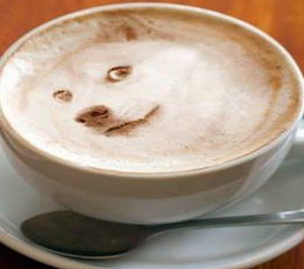 HD-wallpaper-dog-face-latte-foam-art-foam-latte-dog-white-cup-art-face-thumbnail.jpg