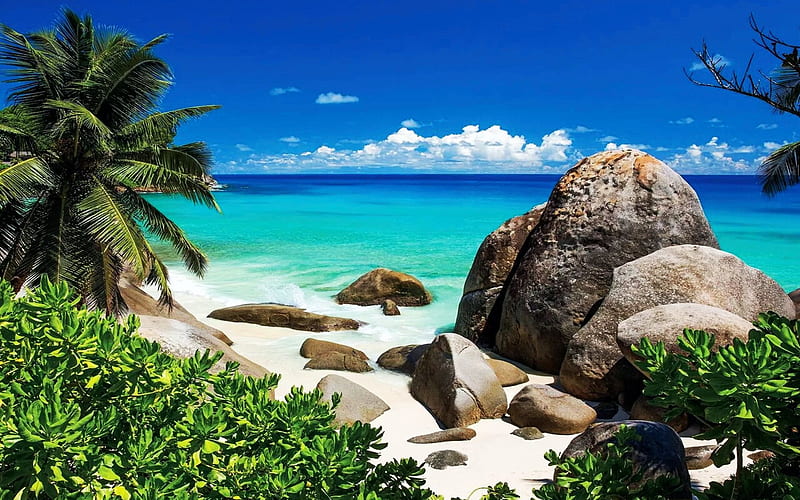 La Digue Island, Seychelles, clouds, sea, sky, rocks, palm trees, HD wallpaper