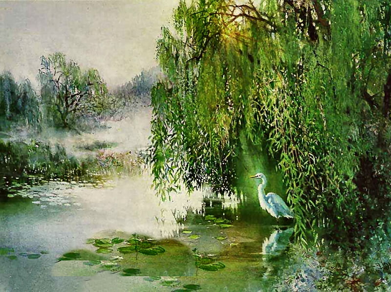 Light in the Willows - Egret F, art, bonito, illustration, artwork, animal, egret, bird, avian, painting, wide screen, wildlife, HD wallpaper