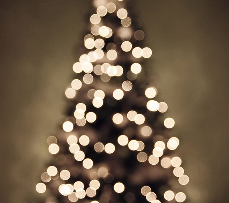Beauty Lights, christmas, holiday, light, HD wallpaper