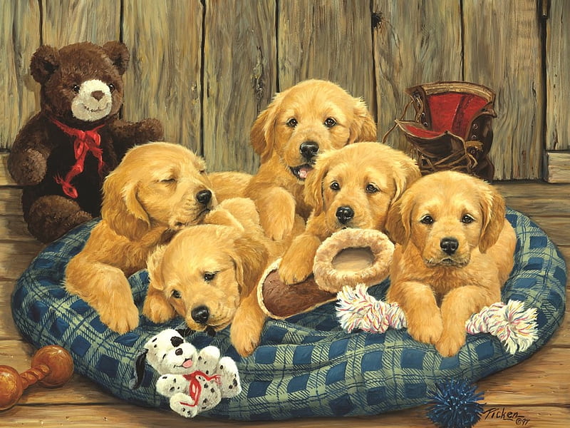 Puppies, young, paint, dogs, golden, HD wallpaper