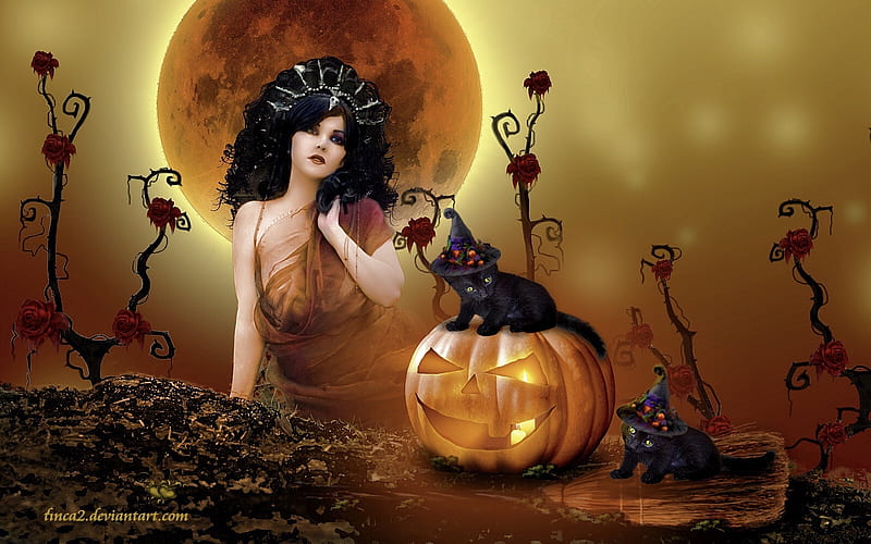 Amazing Halloween, pretty, autumn, Moon, halloween, pumpkin, black cat, Fantasy lady, roses, HD wallpaper