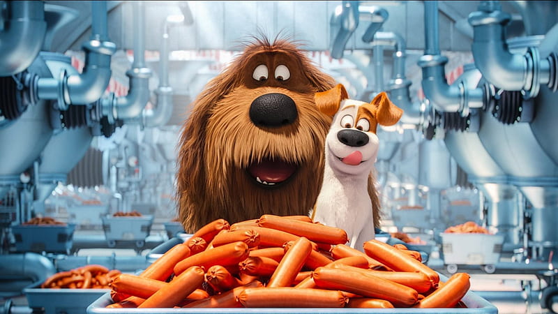 The Secret Life of Pets, 2016, Duke, 3d sausages, HD wallpaper