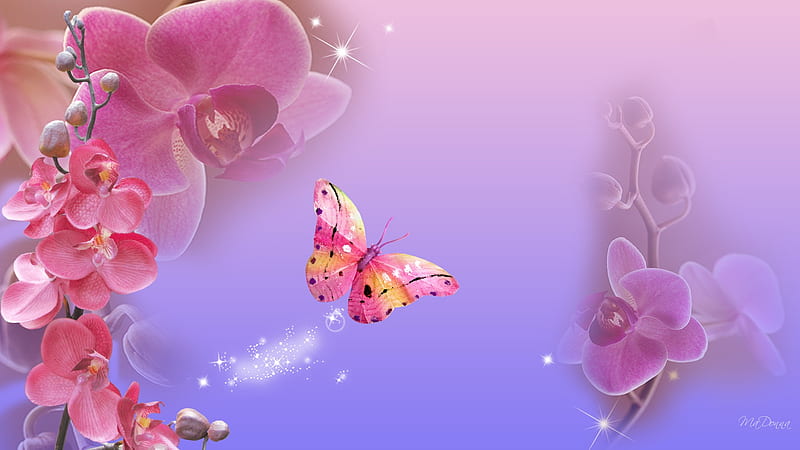 Faded Orchids, orchids, butterly, puple, flowers, firefox persona, lavender, pink, sparkles, HD wallpaper