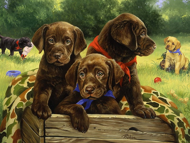 Young Dogs, young, paint, brown, dogs, HD wallpaper