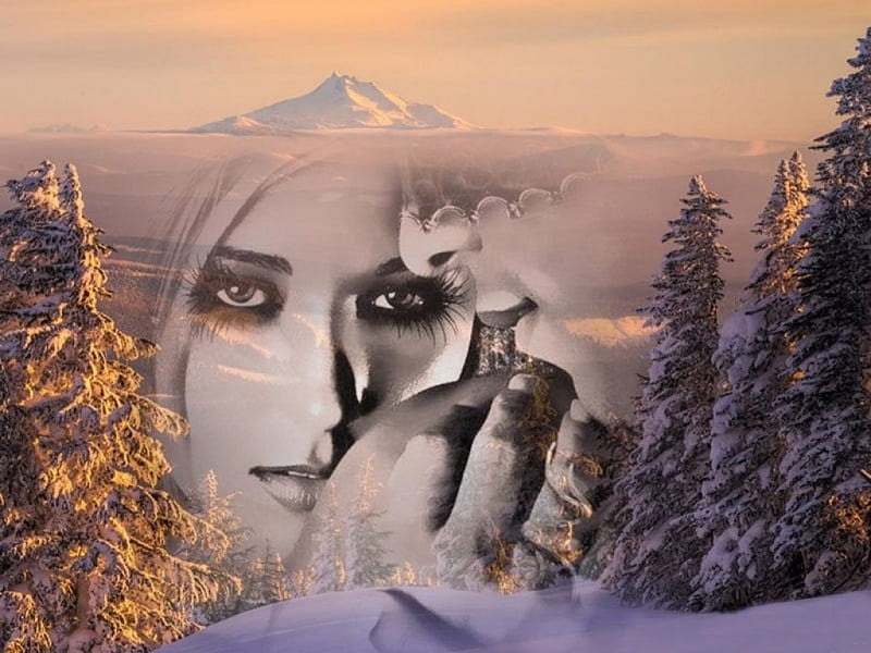 Winter Time, winter dream, man, editor, woman, snow-covered pine trees ...