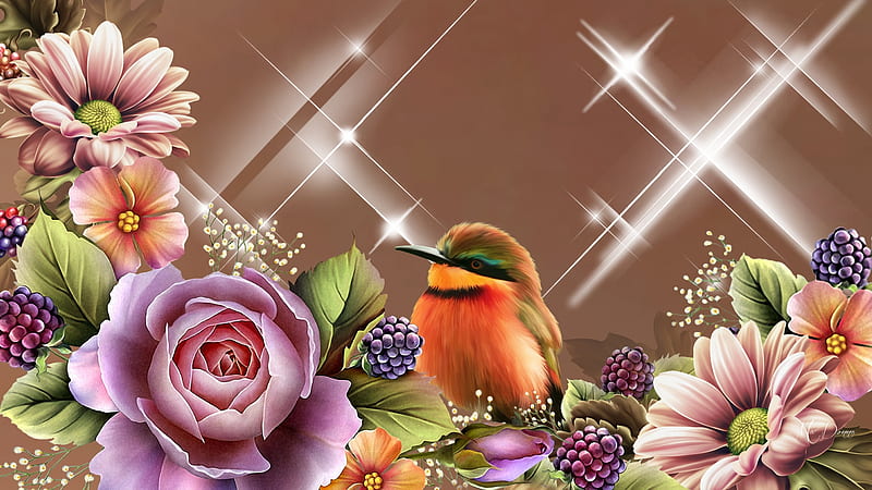 Blooms N Bird, bird, flowers, shine, roses, flora, light, Firefox theme, stars, gerberas, black berries, fruit, HD wallpaper