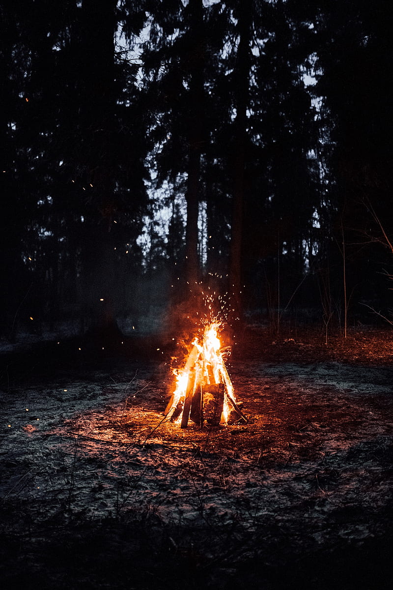 bonfire, fire, camping, sparks, HD phone wallpaper