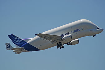 Airbus a 300 605 st Beluga Plane Sky [1920x1080] : r/wallpaper