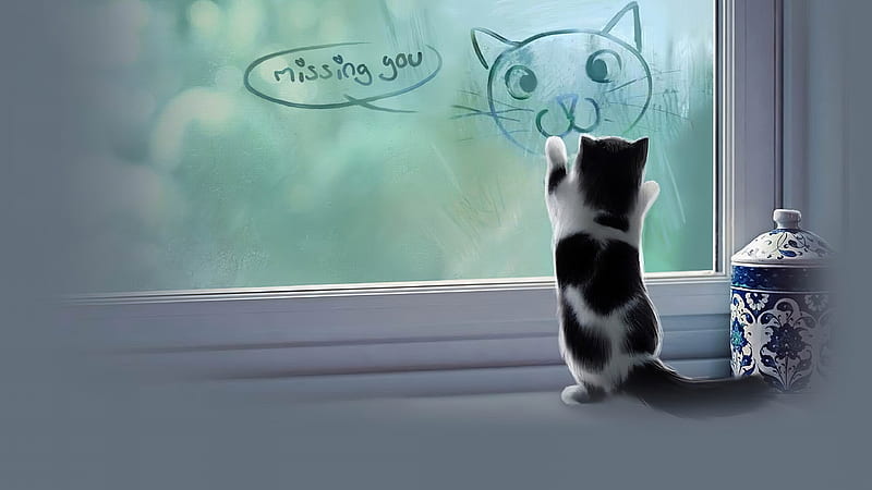 Cat Missing You, cat, animals, artist, artwork, digital-art, HD wallpaper