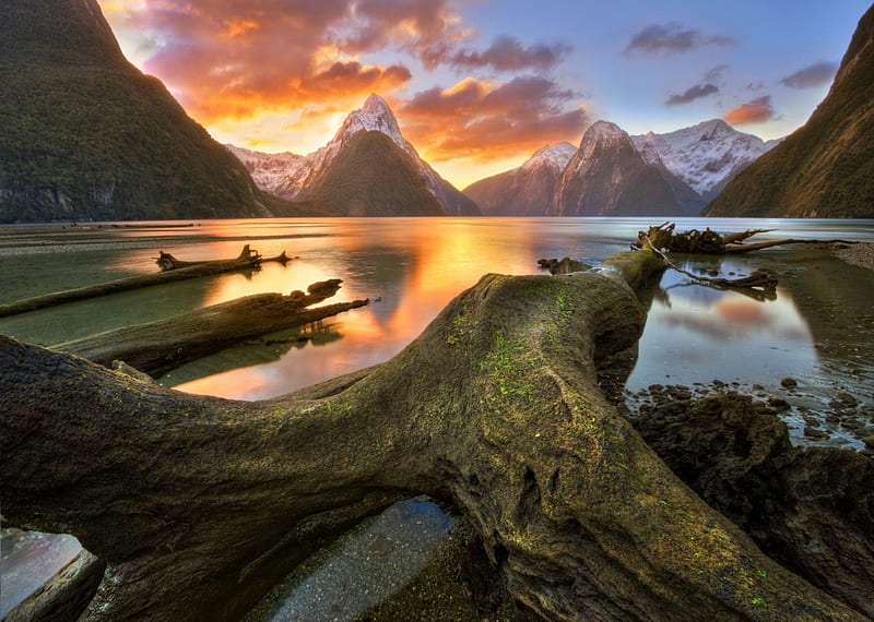 Mountain Sunset, bonito, sunset, sky, clouds, trunks, Milford Sound, lake, mountains, New Zealand, snowy peaks, HD wallpaper