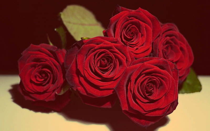 Buy Crimson Valentines special Gift Hamper online | Hangout Cakes and  Gourmet Foods