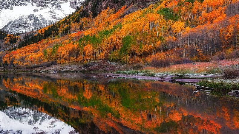 Fall Foliage Forest Lake Nature Reflection Nature, HD wallpaper