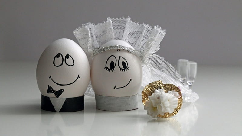 Just Married, eggs, married, funny, HD wallpaper
