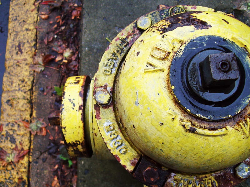 Hydrant Top, yellow, fire, sidewalk, hydrant, HD wallpaper