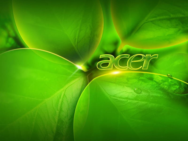 acer leaf theme, attractive, leaves, green colour, light, HD wallpaper