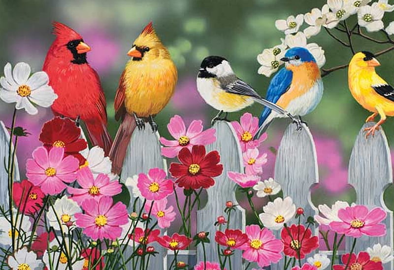 Birds and cosmos flowers, fence, red, art, bird, flower, cosmos, pictura, pink, painting, HD wallpaper