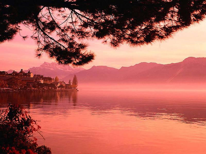 Shore of Lake Geneva, sunset, tree, shore, lake geneva, HD wallpaper