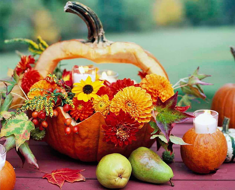 Autumn Still Life, seasonal, pears, pumpkin, flowers, blossoms, HD wallpaper