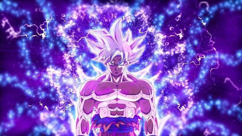 Goku Ultra Instinct Anime Ball Dragon Goku Instinct Super Ultra