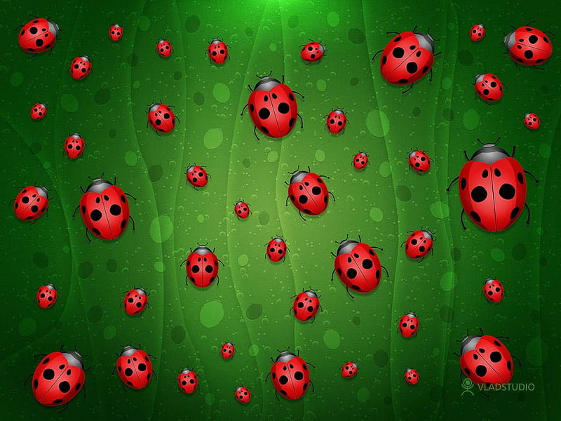 Ladybug, red, green, insect, black, spotty, HD wallpaper
