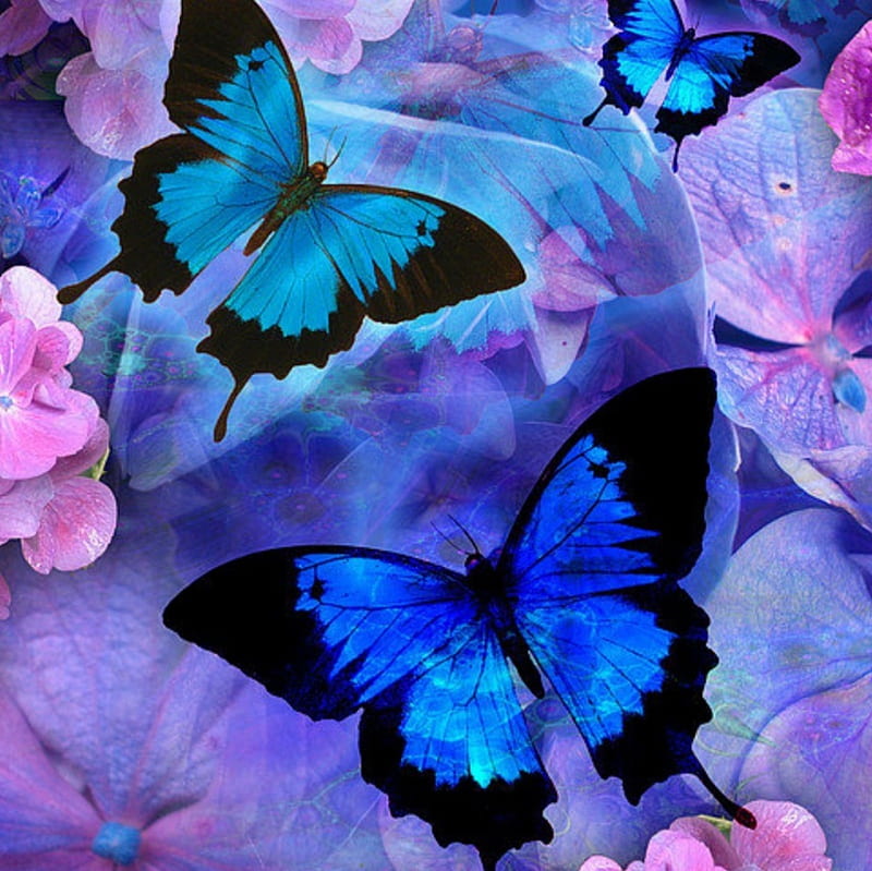 BLUEBELLES, BLUE, ANIMALS, BUTTERFLIES, FLOWERS, PETALS, HD wallpaper ...