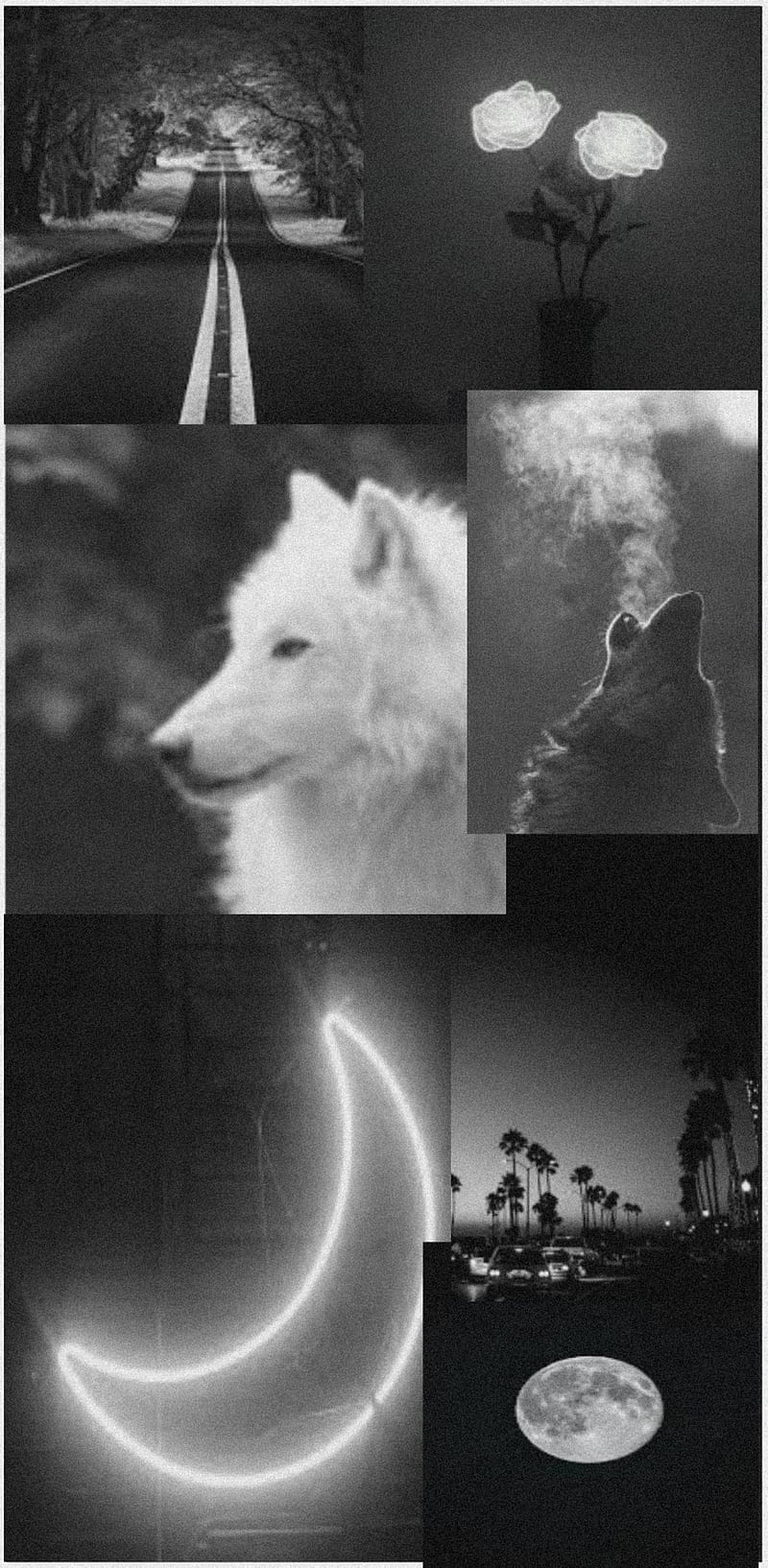 Wolf Aesthetic , aesthetic, black and white, blackandwhite, moon, neon, neon moon, neonmoon, wolf, wolf aesthetic, wolfaesthetic, HD phone wallpaper