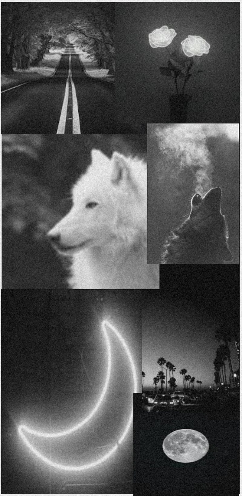 Wolf therian aesthetic