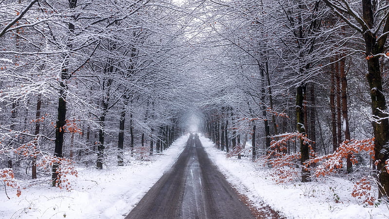 Winter Country Road, road, country, snow, winter, HD wallpaper