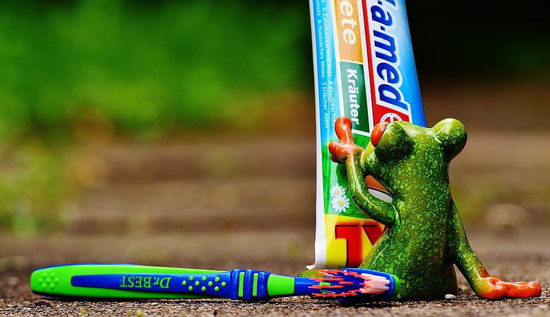 READING THE INSTRUCTIONS, TOOTHPASTE, FROG, ABSTRACT, HD wallpaper