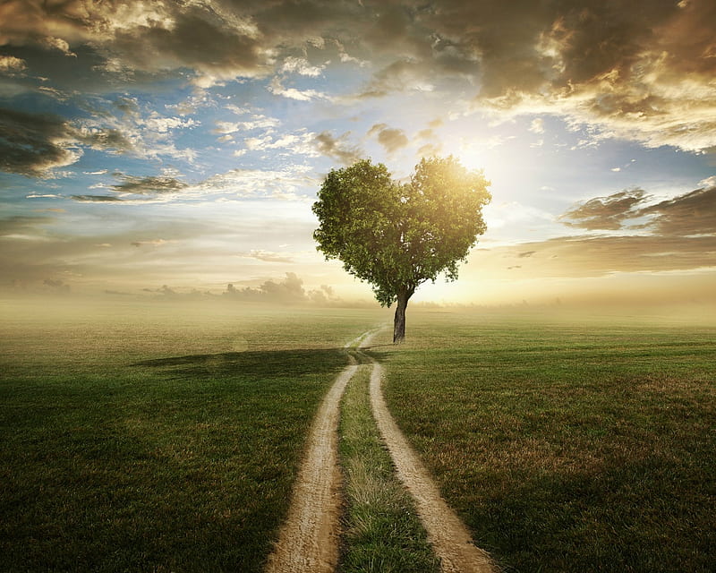 Road to Tree Heart, tree, sky, road, heart, HD wallpaper