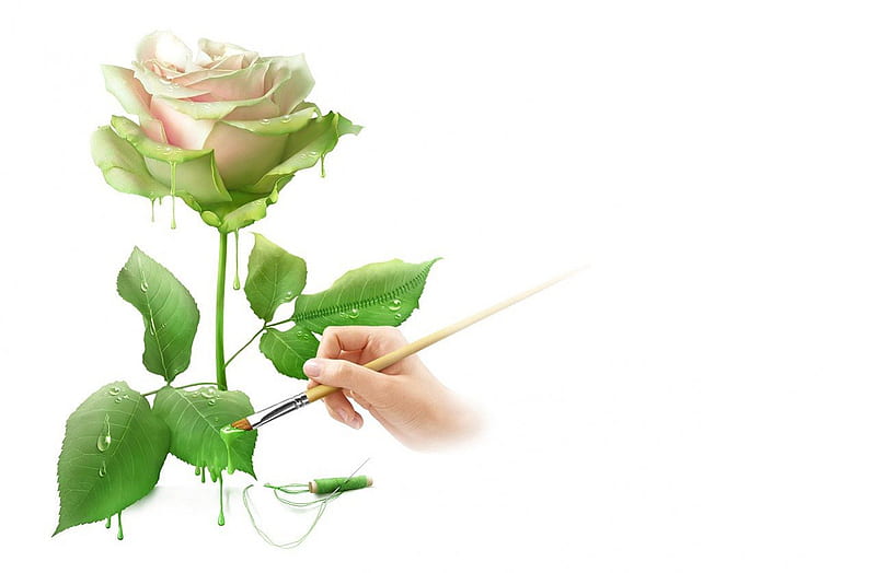 I paint you a fine rose, sewing, cool, paint, rose, white, vector, HD wallpaper