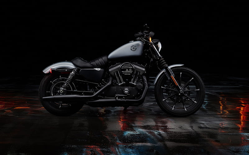 Harley Davidson Sportster Iron 883, 2020, side view, exterior, black motorcycle, american motorcycle, Harley Davidson, HD wallpaper