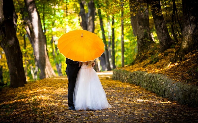 Love, umbrella, wedding, kiss, couple, HD wallpaper