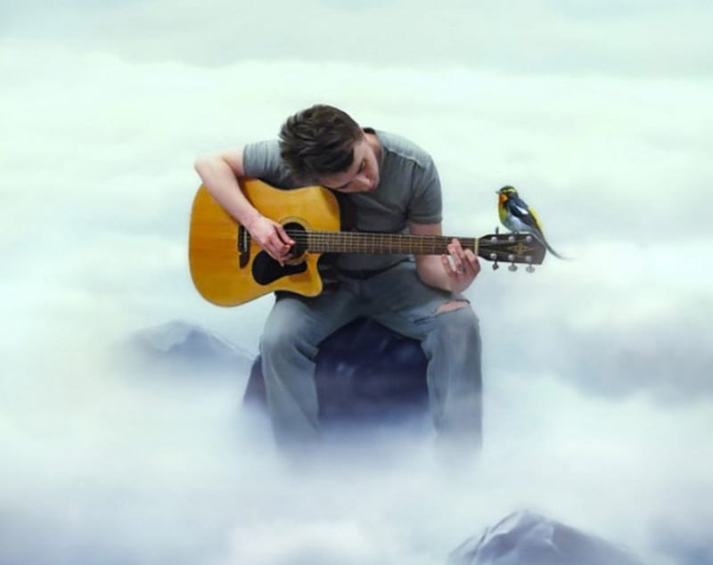 Guitarest, bird, nature, clouds, sky, HD wallpaper Guitarest, bird, nature, clouds, sky, HD wallpaper