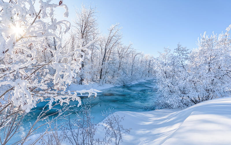 Earth, Winter, Forest, Frost, River, Snow, Sunbeam, HD wallpaper | Peakpx