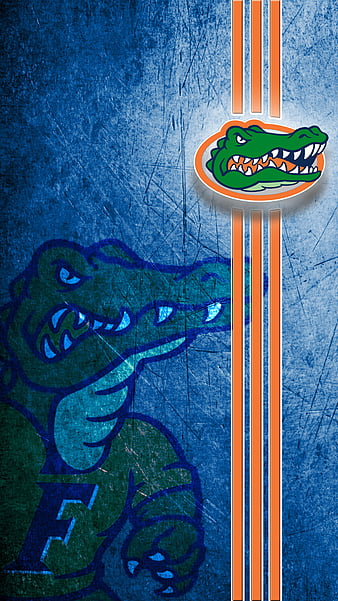 Florida Gators wallpaper by spfan3000  Download on ZEDGE  f2f7