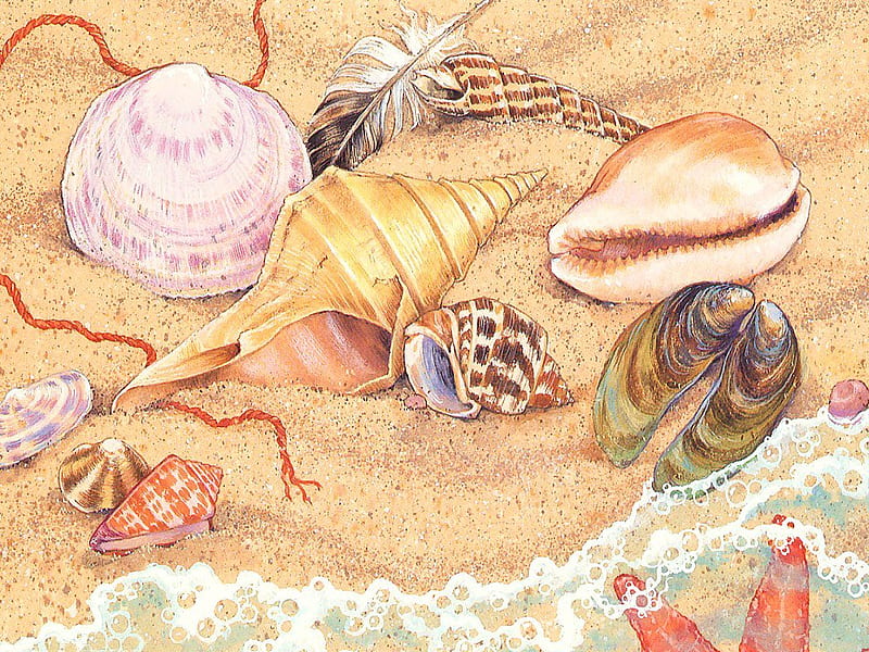 Sea treasure, beach, sand, feather, shells, sea, wave, HD wallpaper