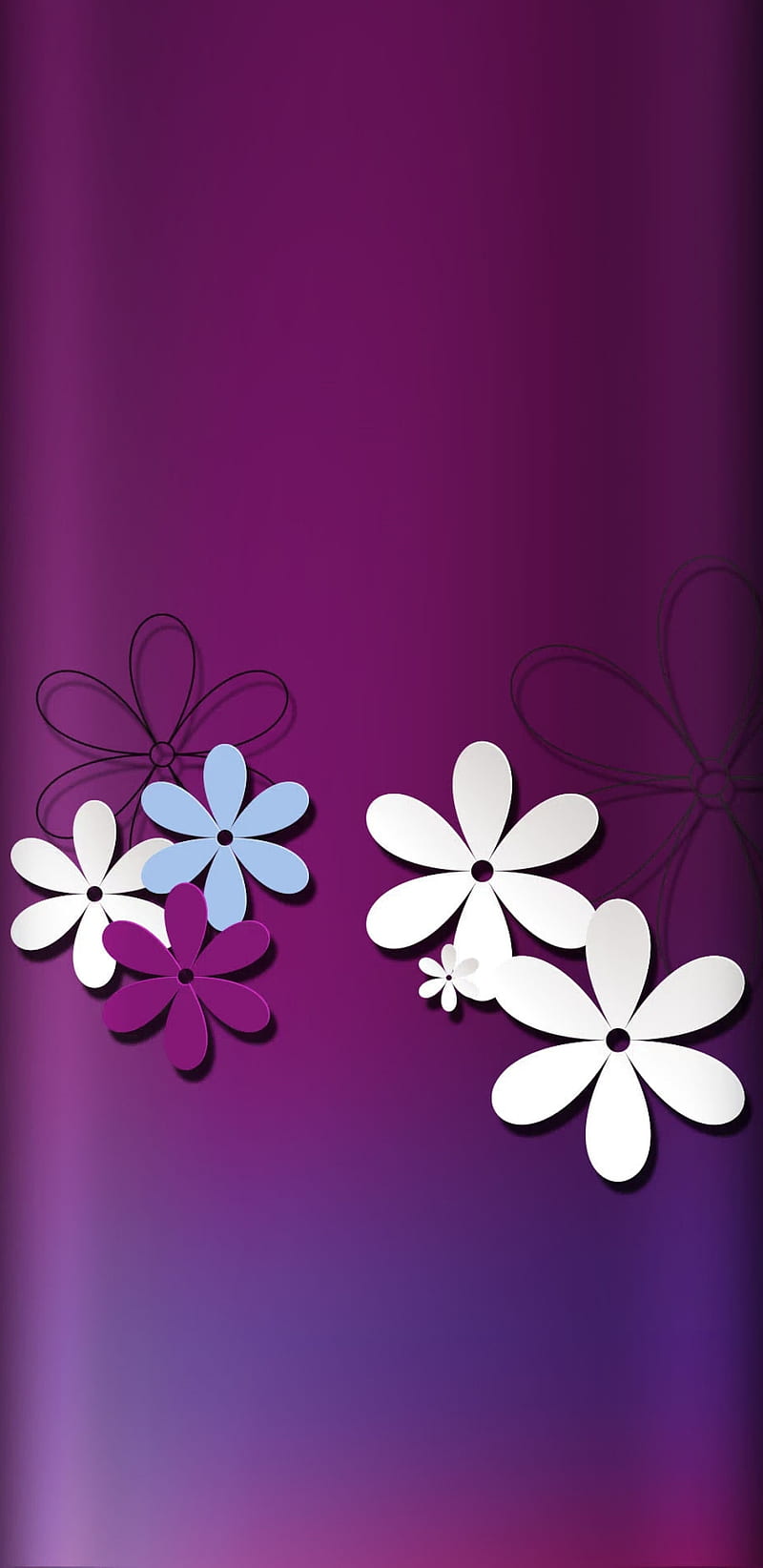 Flowers, floral, girly, pretty, purple, white, HD phone wallpaper | Peakpx