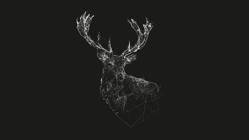 deer line art, deer, lines, minimalism, wireframe, grid, vector, animals, simple background, black background, CGI, HD wallpaper