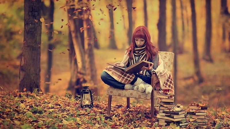 Redhead Reading Books In Forest, Reading, Chair, Forest, girl, Redhead, Books, woman, HD wallpaper