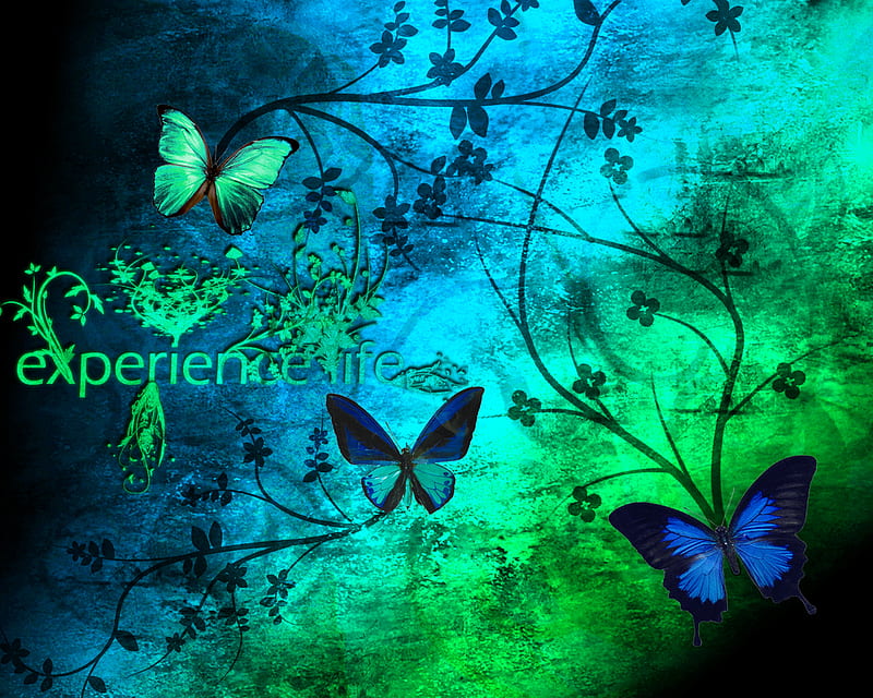 BLUE GREEN BUTTERFLIES, butterflies, green, blue, HD wallpaper BLUE GREEN BUTTERFLIES, butterflies, green, blue, HD wallpaper