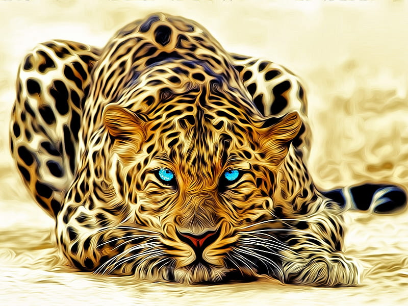 HD leopard blue eyes wallpapers
