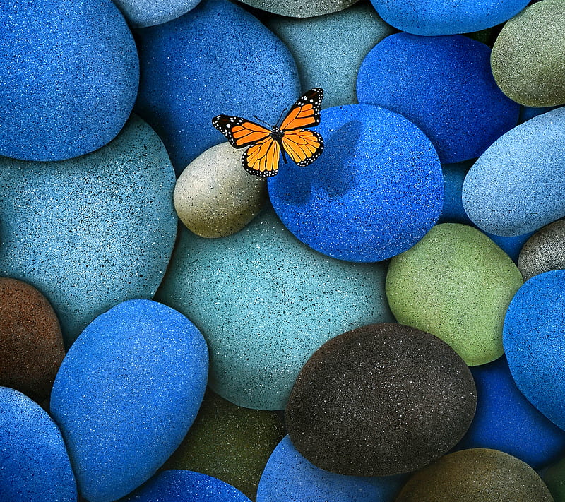 Butterfly, blue, nice, stone, HD wallpaper | Peakpx Butterfly, blue, nice, stone, HD wallpaper | Peakpx